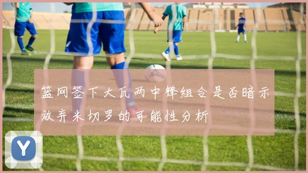 篮网签下大瓦两中锋组合是否暗示放弃米切罗的可能性分析